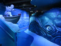 Schifffahrtsmuseum|Scheepvaart Museum IV